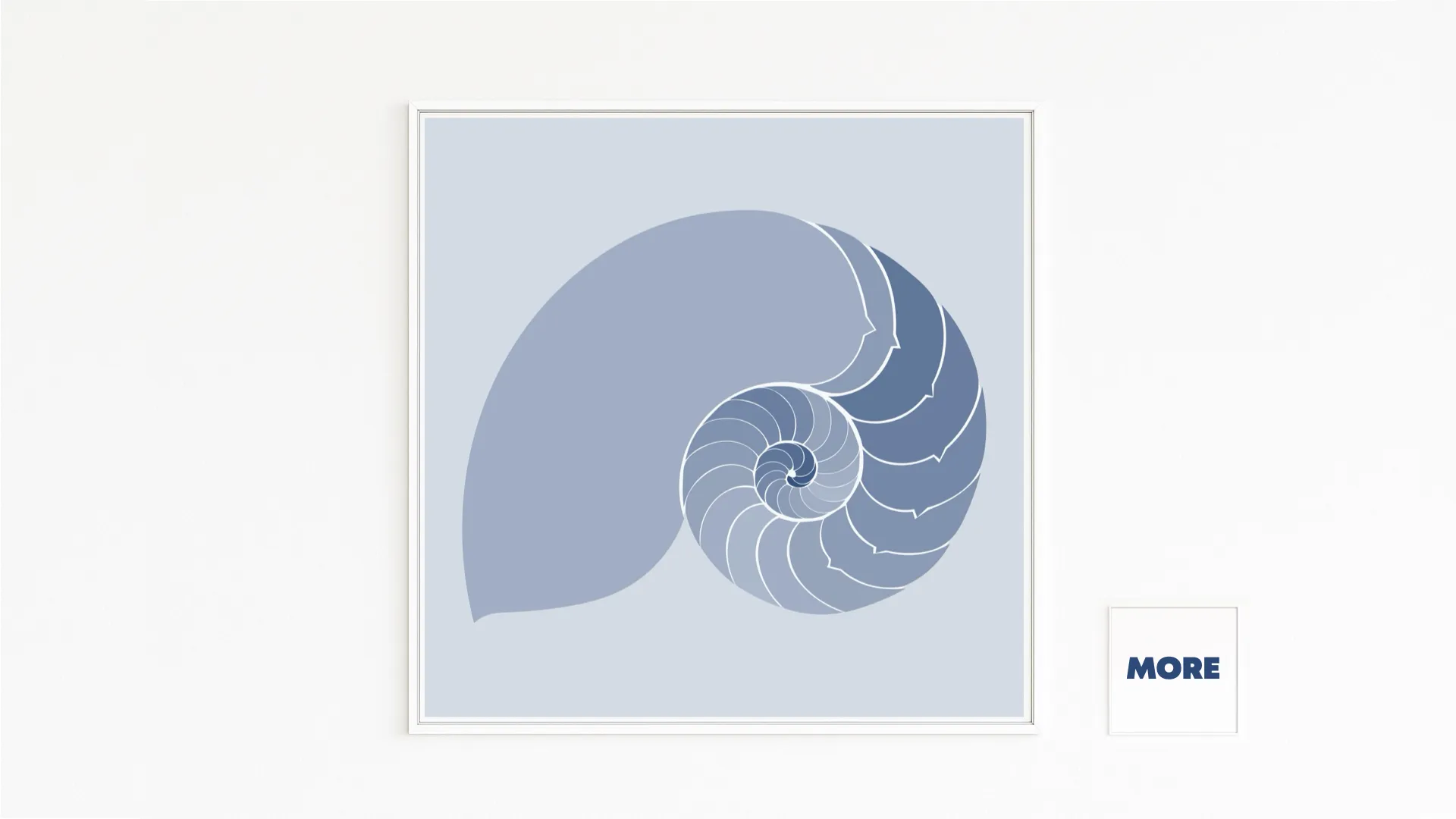 Buy directly from the artist. A spiral of nature – the nautilus shell stands for harmony. Christof Hintze print. Blue in a Square - 250 plus artworks collection.