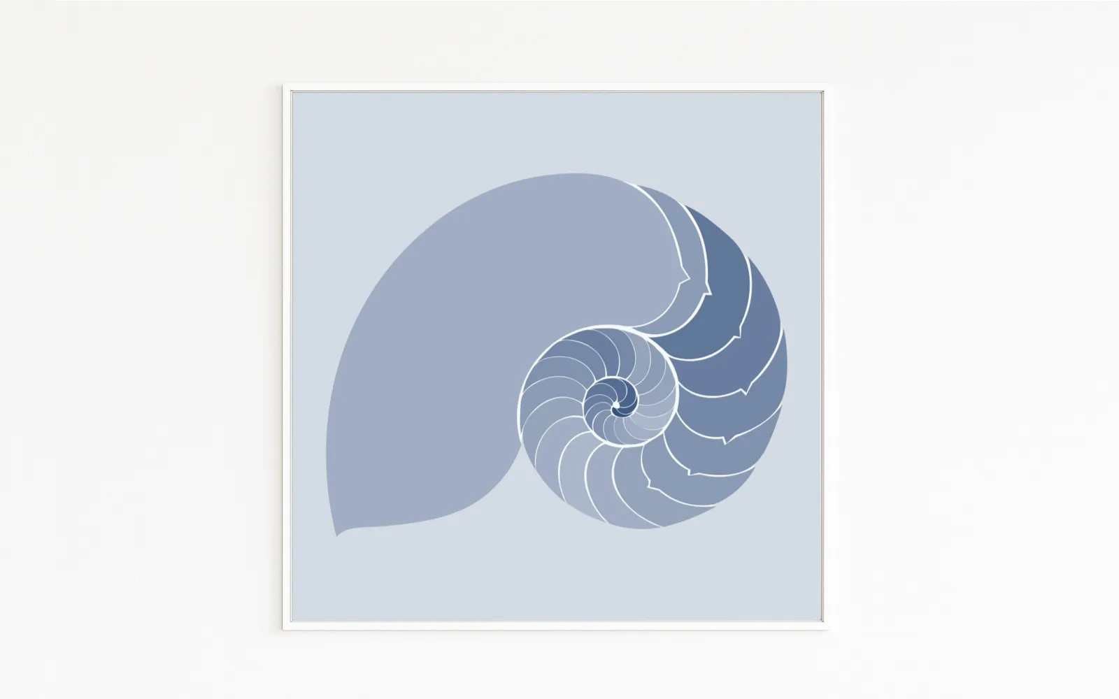 Buy directly from the artist. A spiral of nature – the nautilus shell stands for harmony. Christof Hintze print. Blue in a Square - 250 plus artworks collection.